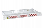 CCD ShKOS-L-1U/2 -24FC/ST-24FC/D/SM-24FC/UPC Patch Panel внешний вид 1