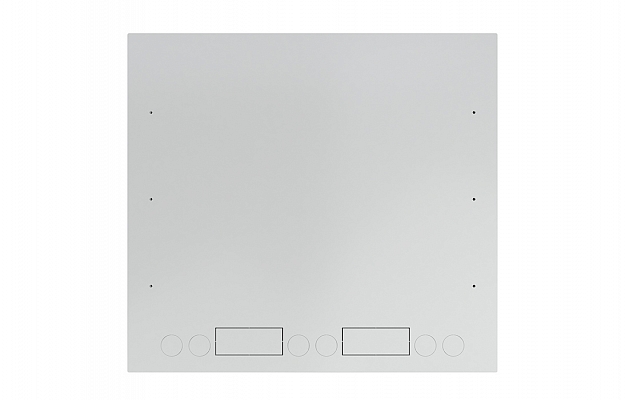 CCD ShAN-E 19"  6U (600*550) Anti-Vandal Wall Mount Telecommunication Cabinet внешний вид 9