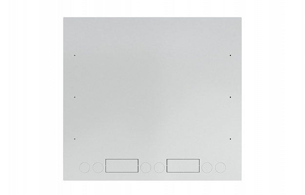 CCD ShAN-E 19"  9U (600*550) Anti-Vandal Wall Mount Telecommunication Cabinet внешний вид 9