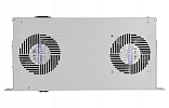 Вентиляторный модуль , 2 вентилятора с термодатчиком без шнура питания 35С ВМ-2-19" ССД внешний вид 4