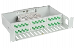 CCD ShKOS-S-2U/4-48FC/ST-48FC/D/APC-48FC/APC Patch Panel внешний вид 1